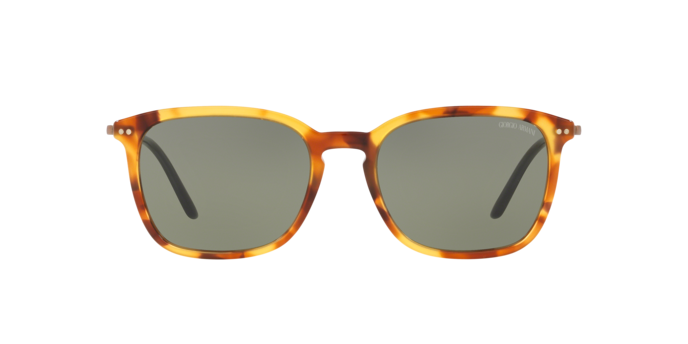 Giorgio Armani Sunglasses AR8111 5760/2