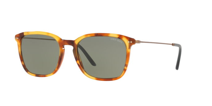 Giorgio Armani Sunglasses AR8111 5760/2