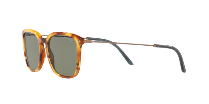 Giorgio Armani Sunglasses AR8111 5760/2