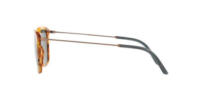 Giorgio Armani Sunglasses AR8111 5760/2