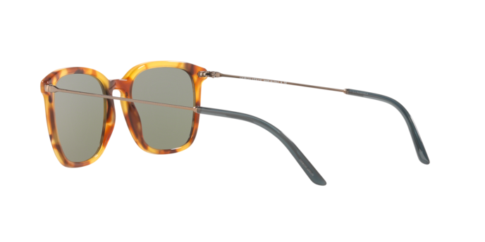 Giorgio Armani Sunglasses AR8111 5760/2