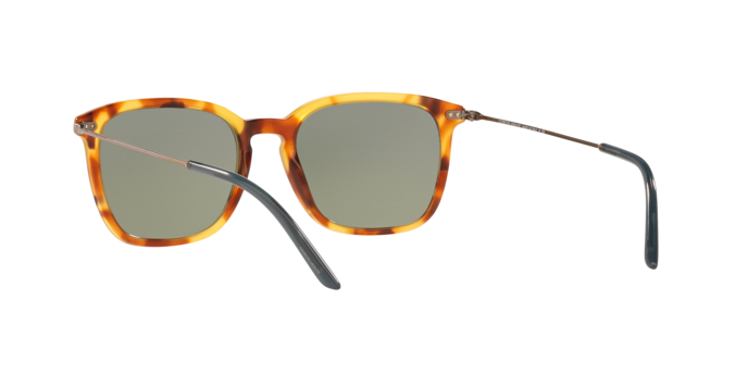 Giorgio Armani Sunglasses AR8111 5760/2