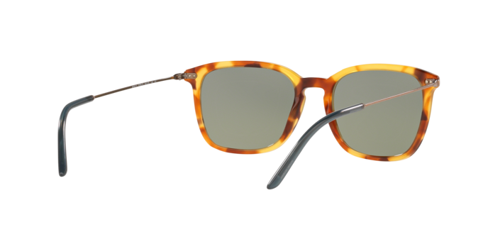 Giorgio Armani Sunglasses AR8111 5760/2