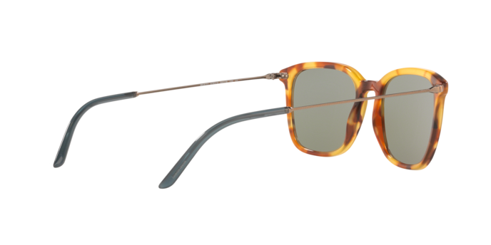 Giorgio Armani Sunglasses AR8111 5760/2