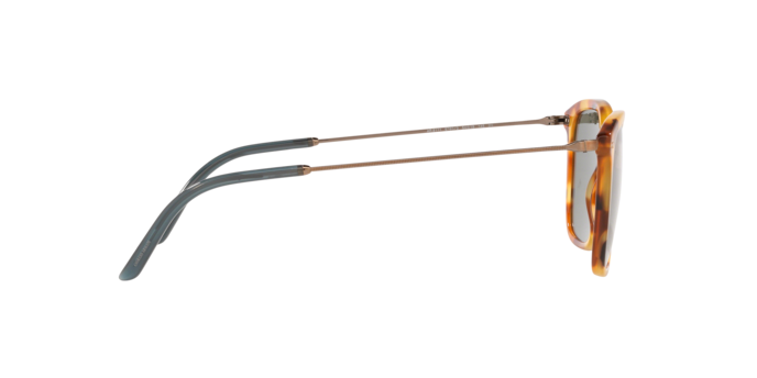 Giorgio Armani Sunglasses AR8111 5760/2