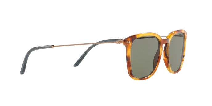 Giorgio Armani Sunglasses AR8111 5760/2