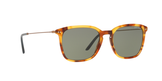 Giorgio Armani Sunglasses AR8111 5760/2
