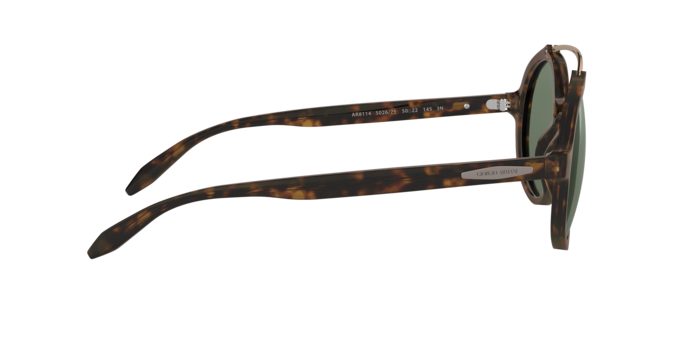 Giorgio Armani Sunglasses AR8114 502671