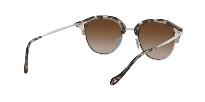 Giorgio Armani Sunglasses AR8117 564813