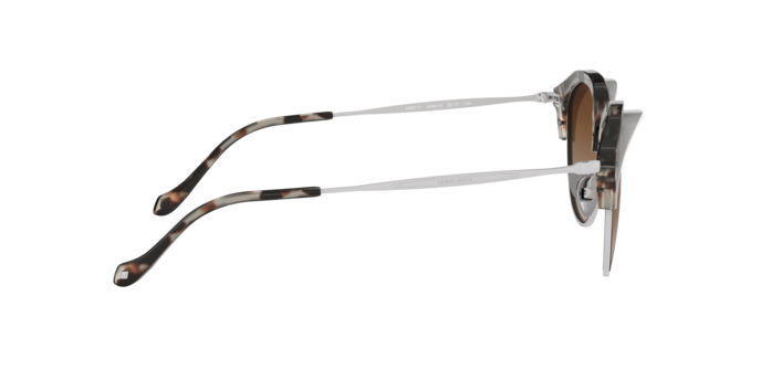 Giorgio Armani Sunglasses AR8117 564813