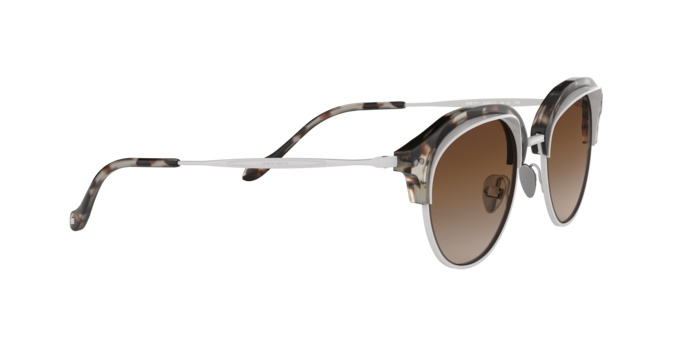 Giorgio Armani Sunglasses AR8117 564813