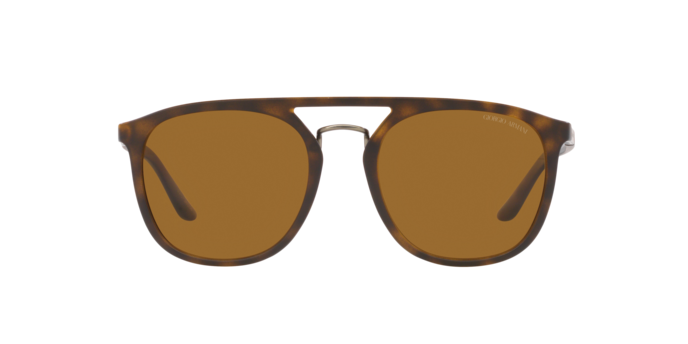 Giorgio Armani Sunglasses AR8118 508983