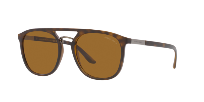 Giorgio Armani Sunglasses AR8118 508983