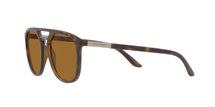 Giorgio Armani Sunglasses AR8118 508983