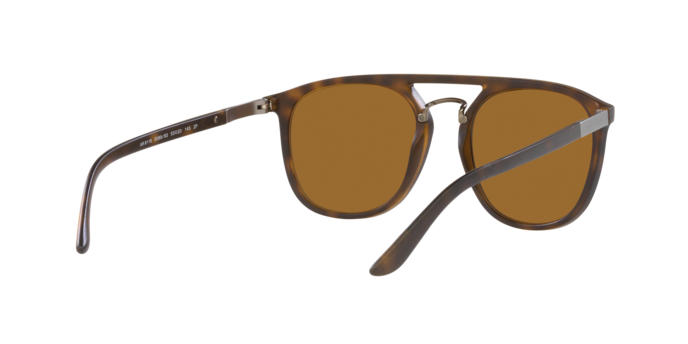 Giorgio Armani Sunglasses AR8118 508983