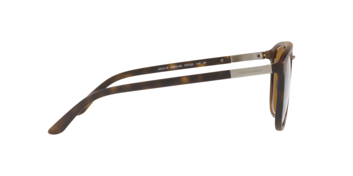 Giorgio Armani Sunglasses AR8118 508983