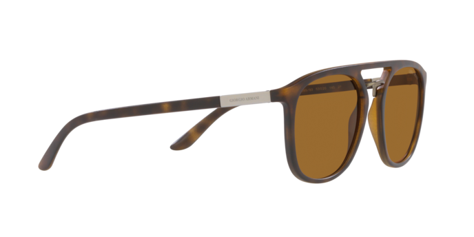 Giorgio Armani Sunglasses AR8118 508983