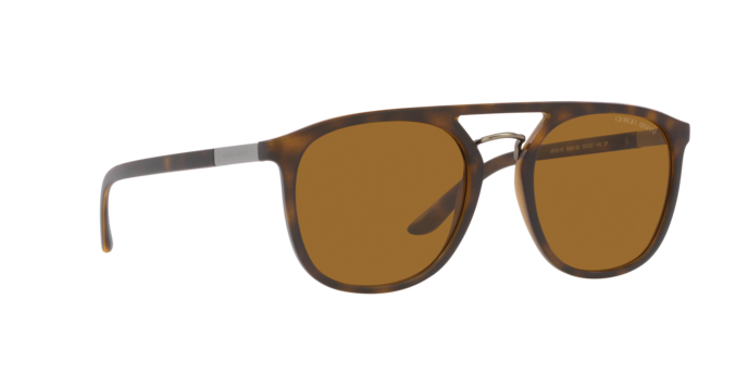 Giorgio Armani Sunglasses AR8118 508983