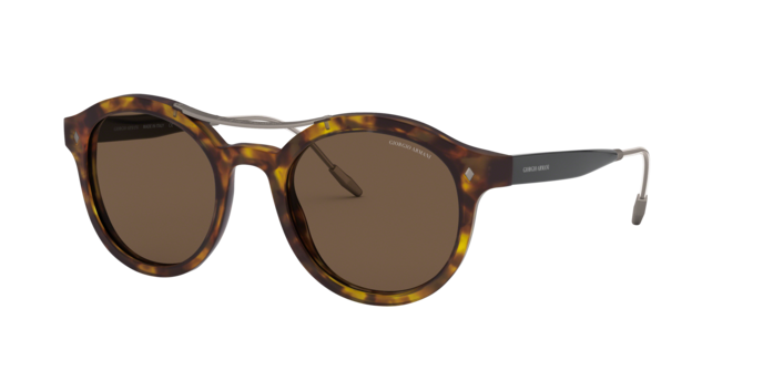 Giorgio Armani Sunglasses AR8119 501173