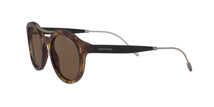 Giorgio Armani Sunglasses AR8119 501173