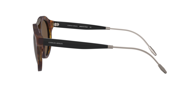 Giorgio Armani Sunglasses AR8119 501173