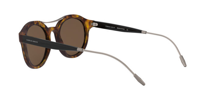 Giorgio Armani Sunglasses AR8119 501173