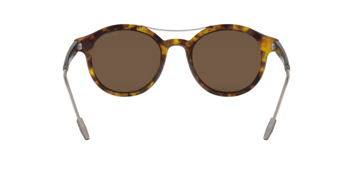 Giorgio Armani Sunglasses AR8119 501173