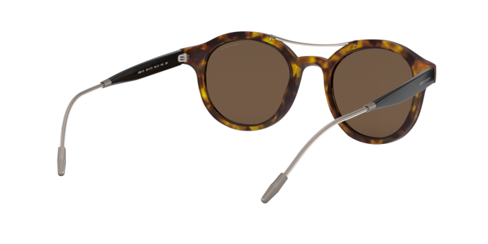 Giorgio Armani Sunglasses AR8119 501173