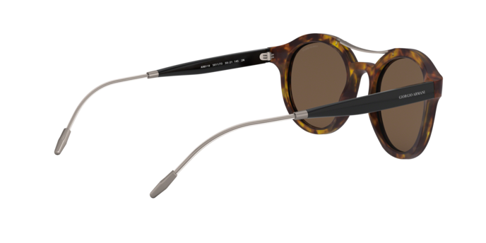 Giorgio Armani Sunglasses AR8119 501173
