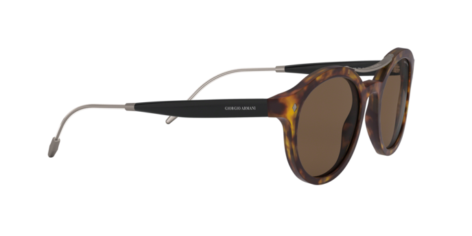 Giorgio Armani Sunglasses AR8119 501173