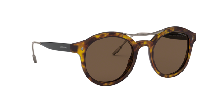Giorgio Armani Sunglasses AR8119 501173