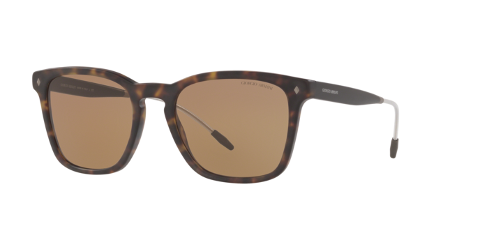 Giorgio Armani Sunglasses AR8120 508973