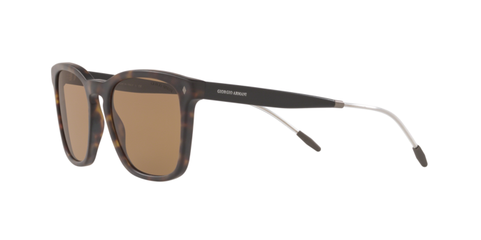 Giorgio Armani Sunglasses AR8120 508973