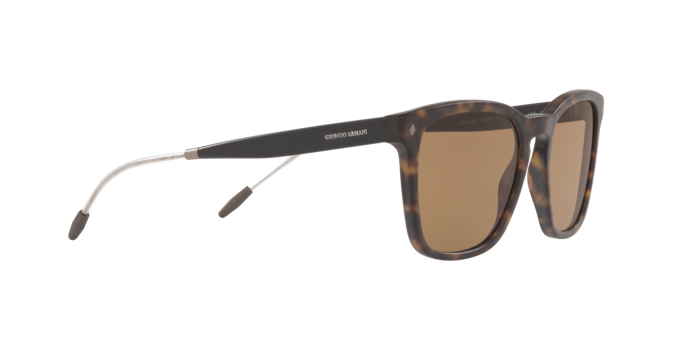 Giorgio Armani Sunglasses AR8120 508973