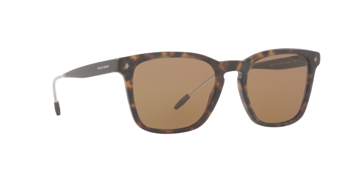 Giorgio Armani Sunglasses AR8120 508973