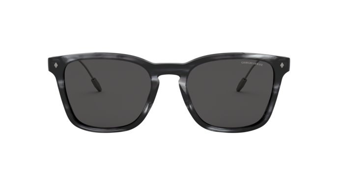 Giorgio Armani Sunglasses AR8120 573987