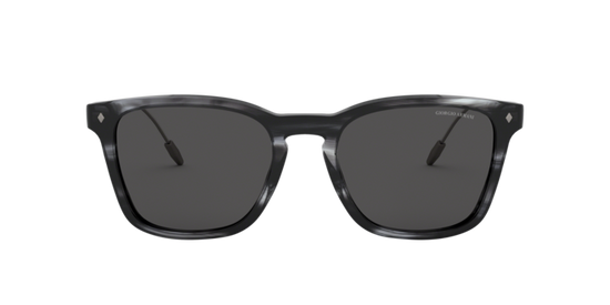 Giorgio Armani Sunglasses AR8120 573987
