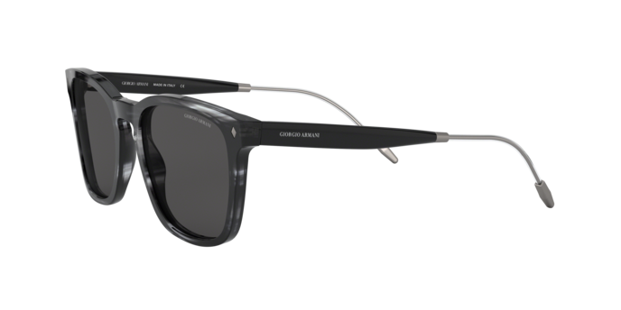 Giorgio Armani Sunglasses AR8120 573987