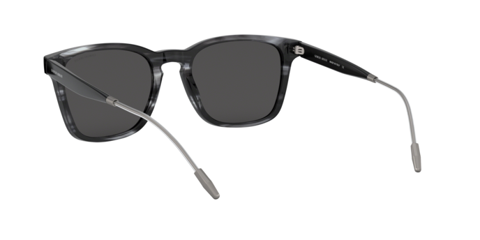 Giorgio Armani Sunglasses AR8120 573987