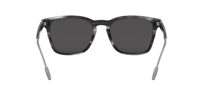 Giorgio Armani Sunglasses AR8120 573987