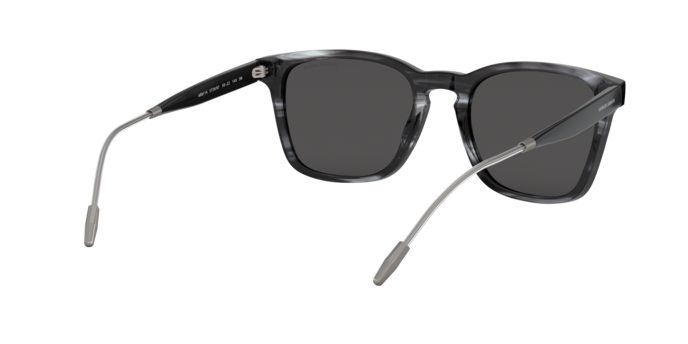 Giorgio Armani Sunglasses AR8120 573987