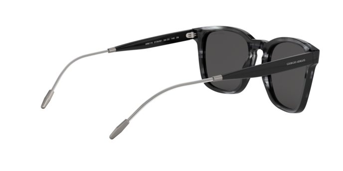 Giorgio Armani Sunglasses AR8120 573987
