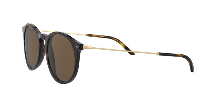 Giorgio Armani Sunglasses AR8121 502673
