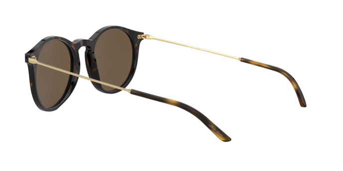 Giorgio Armani Sunglasses AR8121 502673