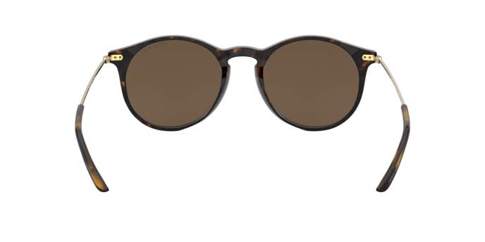 Giorgio Armani Sunglasses AR8121 502673