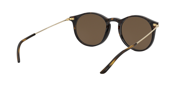 Giorgio Armani Sunglasses AR8121 502673