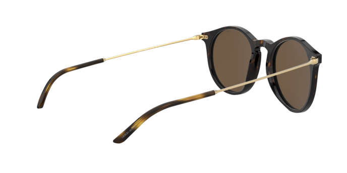 Giorgio Armani Sunglasses AR8121 502673