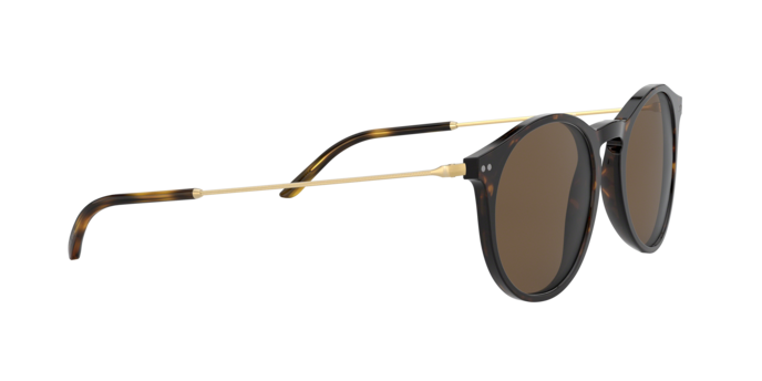Giorgio Armani Sunglasses AR8121 502673