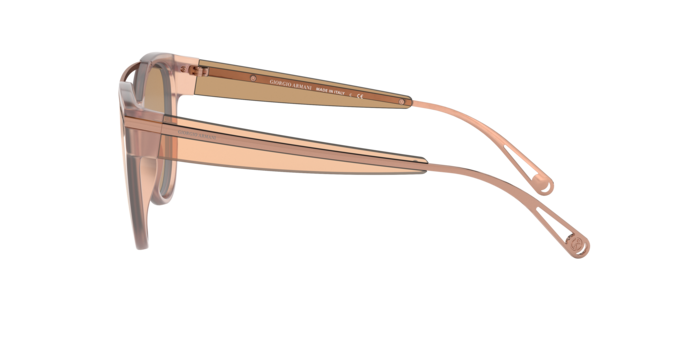 Giorgio Armani Sunglasses AR8124 57822Y