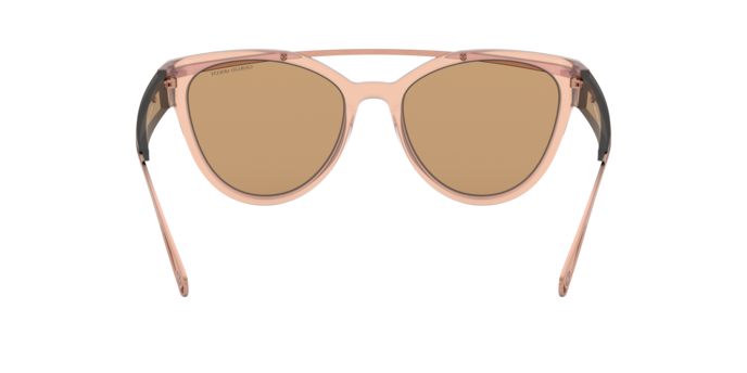 Giorgio Armani Sunglasses AR8124 57822Y